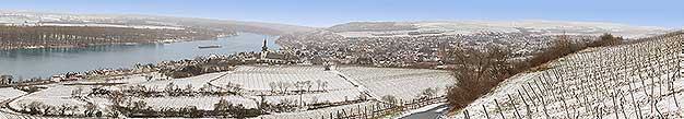 Neujahrsfackelwanderung bei Nierstein am Rhein Glühweinwanderung